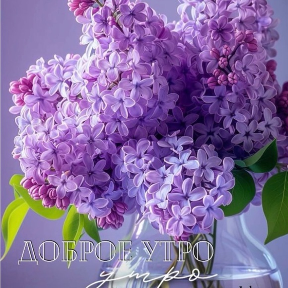 Meet your Posher, Mila - Picture 15 of 15